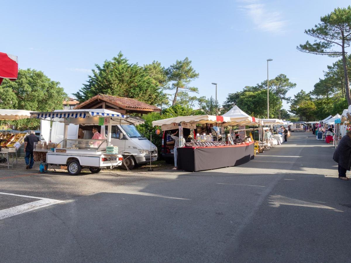 Appartement Spacieux A Seignosse, Terrasse Et Parking, A Proximite De La Plage - Fr-1-239-401 エクステリア 写真